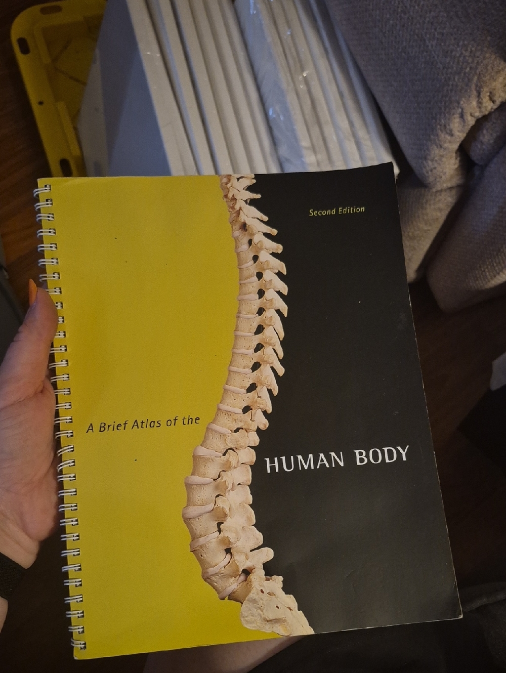 Human Body Spiral-Bound Atlas - Yellow & Black Cover